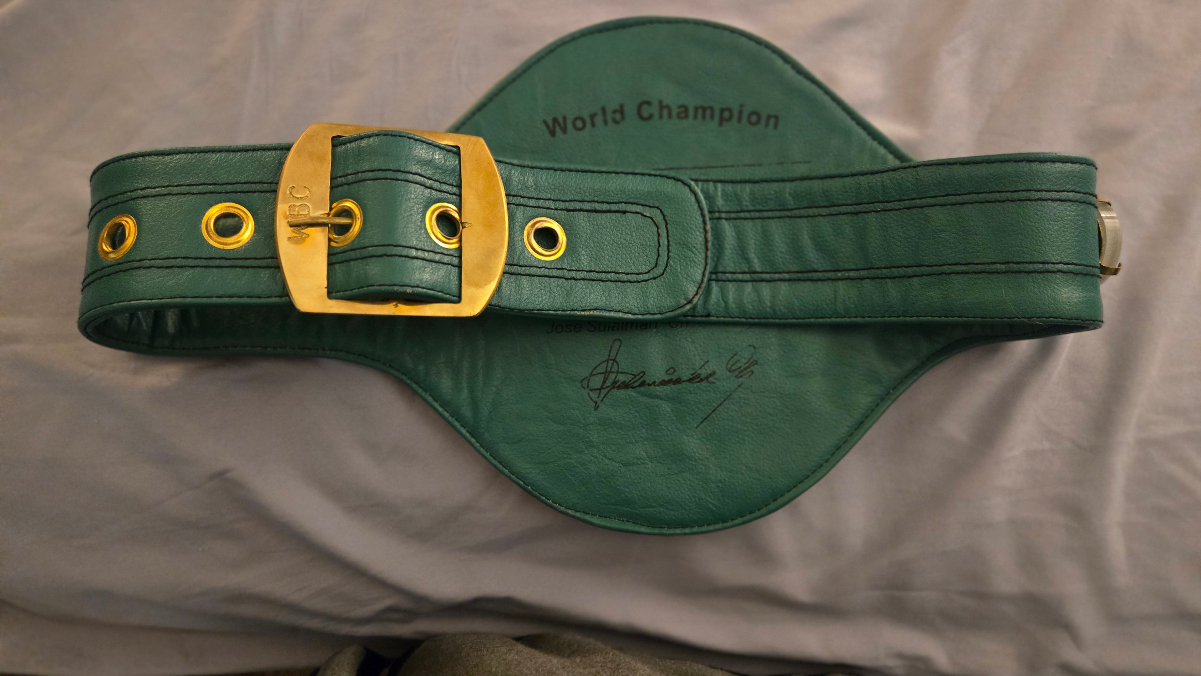 WBC World Boxing Championship Replica Title Belt - Adult Size (Excellent Condition)